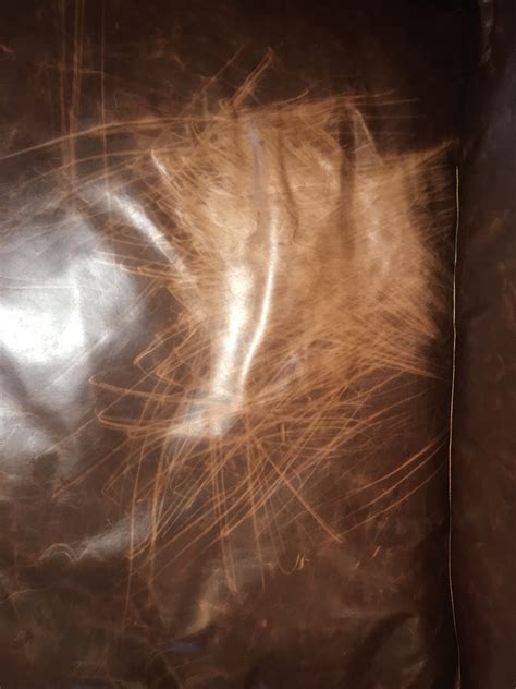 How To Get Dog Scratches Out Of Leather Sofa