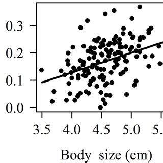 Relation between body size and body condition in Nephila clavipes ...