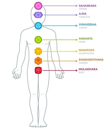 7 Chakras Chakra Sacral Ayurveda Male Body Third Eye Plexus