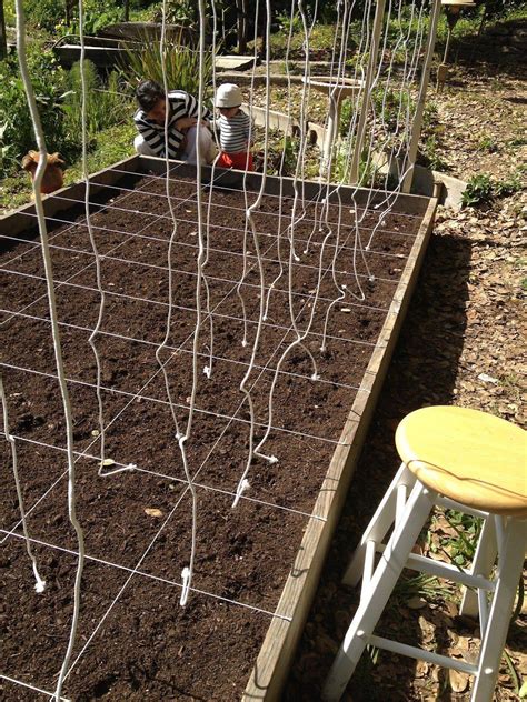 22 Square Foot Gardening Method Ideas Worth To Check Sharonsable