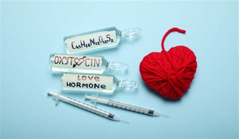 Oxytocin The Love Hormone What Are Its Effects And How Does It Work