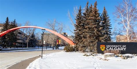 University of Calgary just ranked among the top schools in the world | News