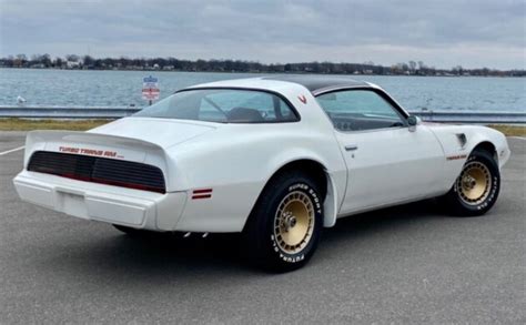 38k Mile Rarity 1980 Pontiac Turbo Trans Am Barn Finds