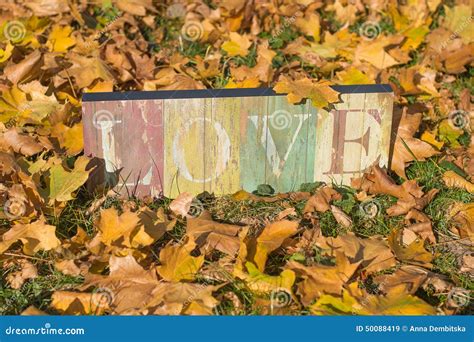 Love In The Grass Stock Image Image Of View Plate Board 50088419