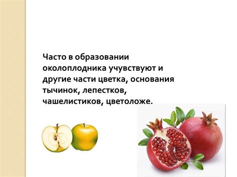 Плоды. Разнообразие и значение - презентация онлайн