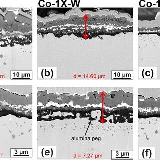 Representative SE Micrographs Of The Oxidized Alloy Surfaces After