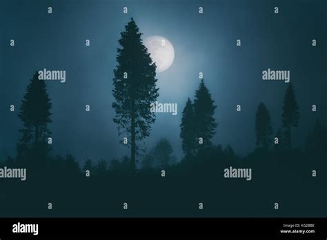 full moon on dark spooky forest at the night Stock Photo - Alamy