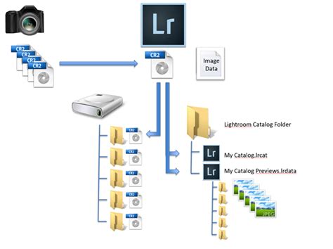 Understanding The Lightroom 5 Catalog