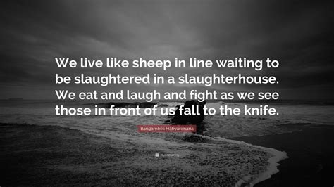 Bangambiki Habyarimana Quote We Live Like Sheep In Line Waiting To Be