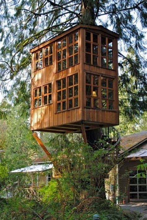 The 25 Coolest Adult Treehouses Suburban Men