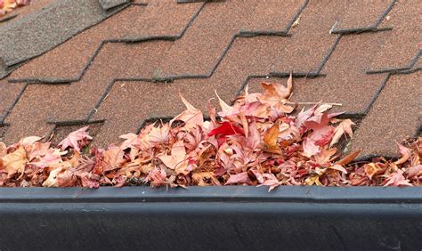 Comprehensive Guide To Fall Roofing Maintenance