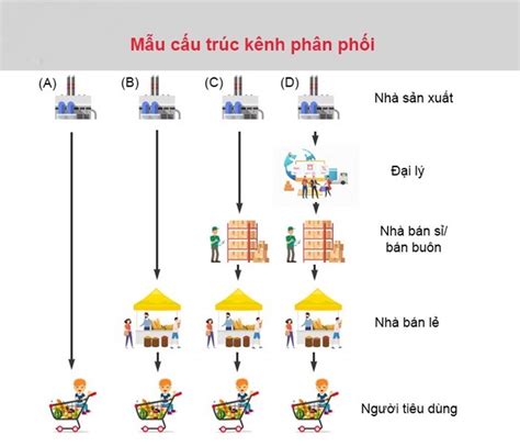 Chiến lược phân phối là gì trong marketing Loyalty Network