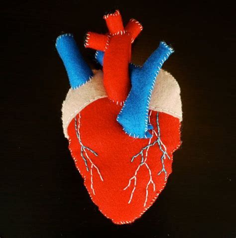 How To Make A 3d Heart Model Easy Step By Step Directions Artofit