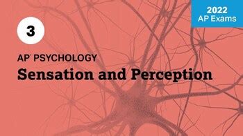 Ap Psychology Sensation And Perception Powerpoint Bundle Tpt