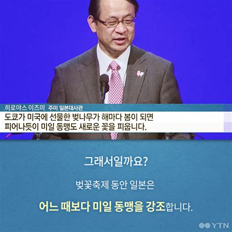 국제 한컷뉴스 워싱턴에 흩날리는 벚꽃 불편한 진실 Ytn