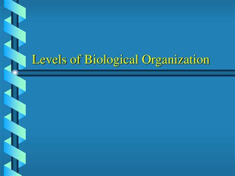 Levels Of Biological Organization Ppt Download