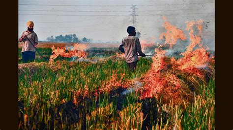 Punjab Records 1 921 Farm Fires Highest In Single Day This Season Hindustan Times