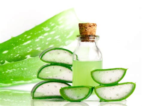 Make Hair Soft And Thick With Aloe Vera 5 Way To Use Effect Will Be