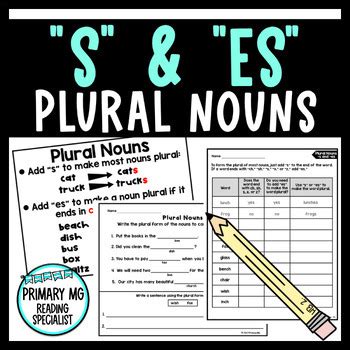 Plural Nouns | S and ES Spelling Rule | NO PREP by Primary MG | TPT