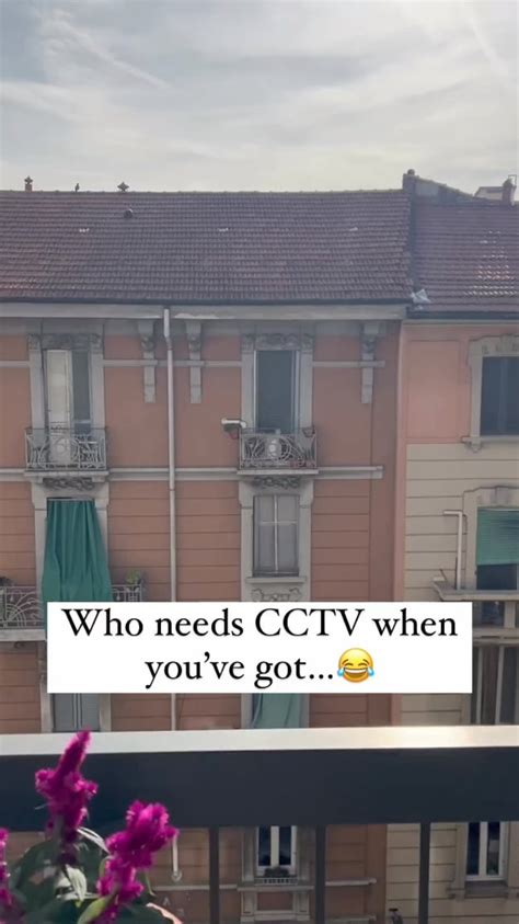 The best CCTV ever seen. : r/cat