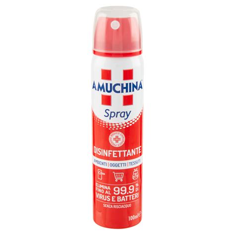 Amuchina Spray Disinfettante 100 Ml Carrefour