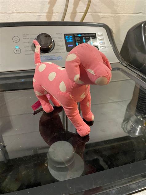 Victoria's Secret The Moomins Squishies | Mercari