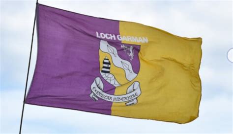 Purple And Gold Flag Of County Wexford In Ireland Rvexillology