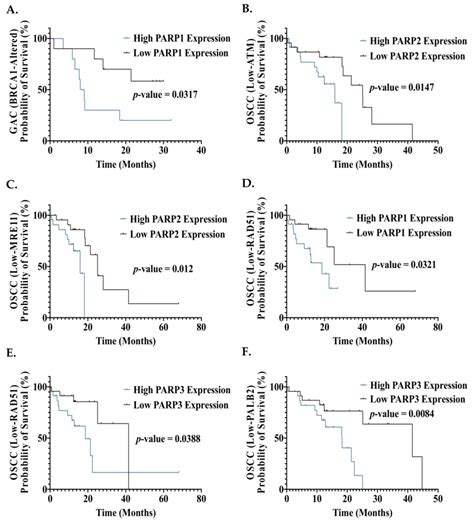 Effect Of Ddr Parp Gene Expression On Overall Survival Outcomes Of Gi Download Scientific