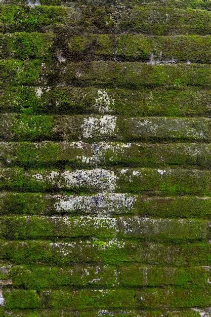 Pared De Ladrillo Cubierta De Musgo Como Textura D Foto Premium