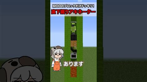 Modのブロックしかない状態でブロック特化型アキネーター！shorts マイクラ マインクラフト Minecraft えんちゃライク