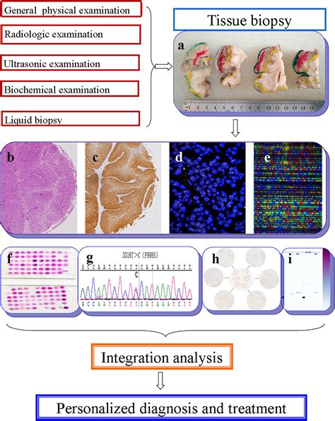 Frontiers Deep Learning In Head And Neck Tumor Multiomics Diagnosis