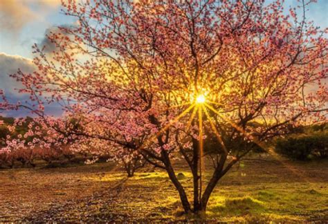 Paseos Por La Naturaleza Rutas Guiadas Y Varios Paseos Autoguiados