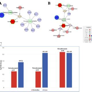 Enriched Pathways Include Direct Relation Between Gene Expression