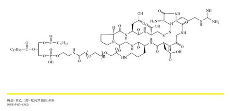 DSPE PEG iRGD磷脂 聚乙二醇 靶向穿膜肽iRGD用于主动靶向研究 哔哩哔哩