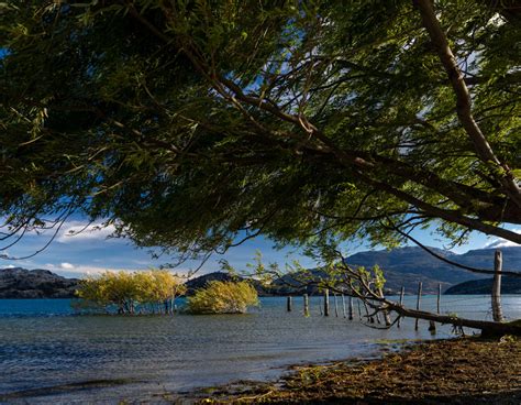 Qué Visitar En Bahía Murta Turismo Río Ibáñez