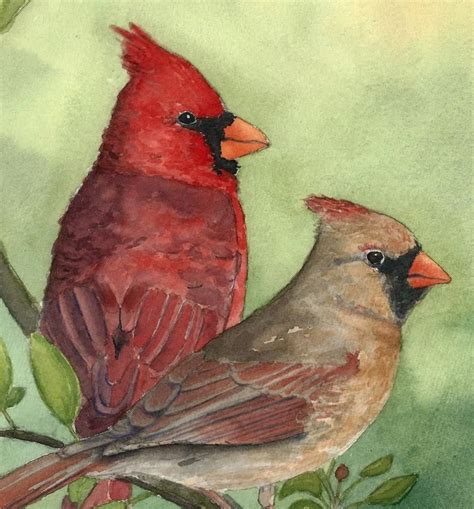 Cardinals Watercolor Print Spring Cardinals Art Print Etsy In 2020 Watercolor Bird Cardinal