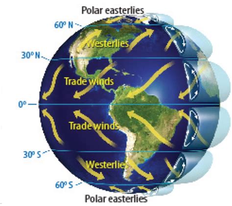 Global Trade Winds Map Goimages Coast