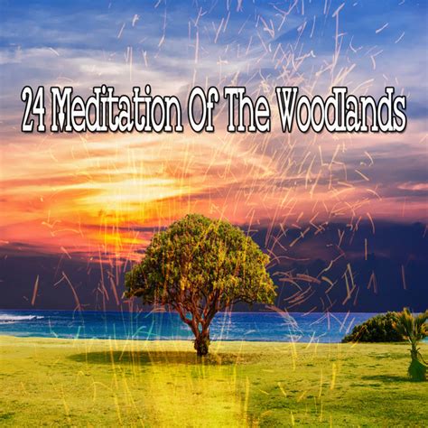 Meditation Of The Woodlands Album By Sounds Of Nature Relaxation