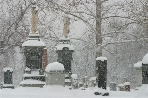 The Grounds - Elmwood Cemetery