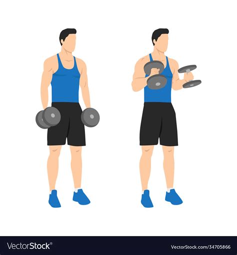 Dumbbell Hammer Curl