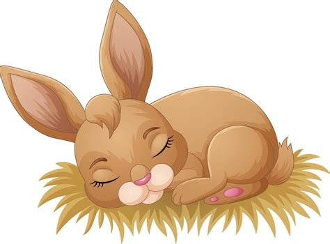 Illustration Of Rabbit Sleeping Isolated On White Background 47105518