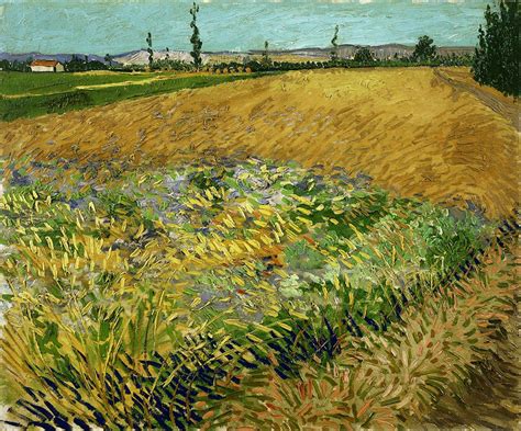 Wheatfield By Vincent Van Gogh Oil On Canvas 1888 High Resolution