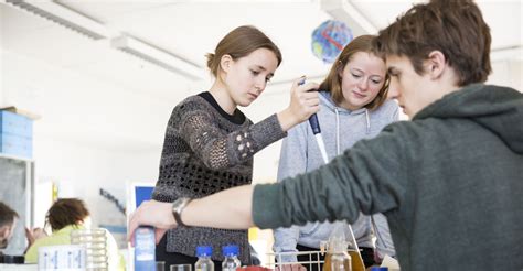 Unterstütze Bildungsinitiative Neue Oberstufe Weiterführende