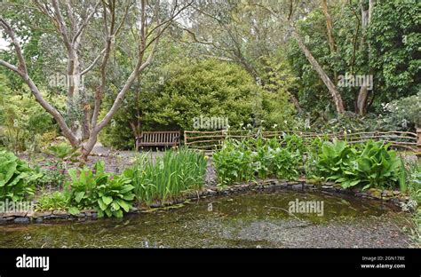 Logan Botanic Garden Stranraer Scotland Stock Photo Alamy