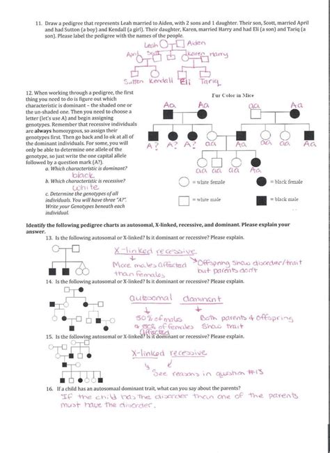 Pedigree Chart Genetics Worksheets