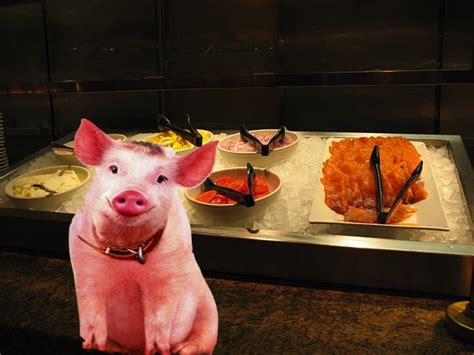 Meet The Farmer Who Has Been Serving Vegas Buffet Leftovers To His Pigs