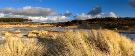 Nationaal Park Zuid Kennemerland Nationaal Park Zuid Kennemerland