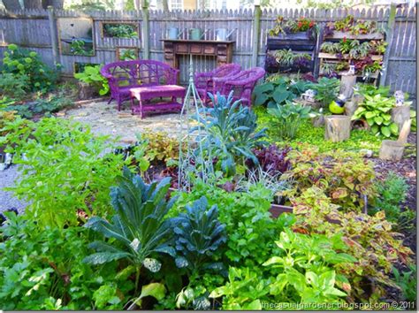 Shade Tolerant Vegetable Garden Ideas You Must Look Sharonsable