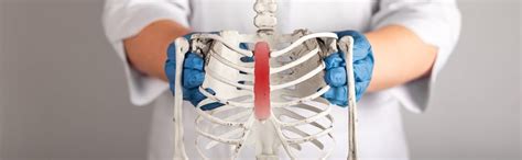 Costochondritis: Causes, Symptoms, and Treatment - The Therapy Network Physical Therapy