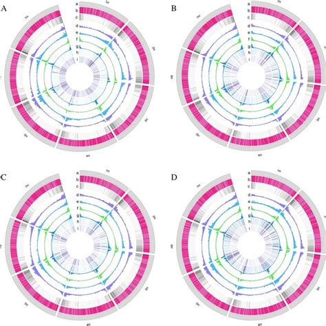 The Genome Wide Distribution Of Lmrs And Histone Modification A The